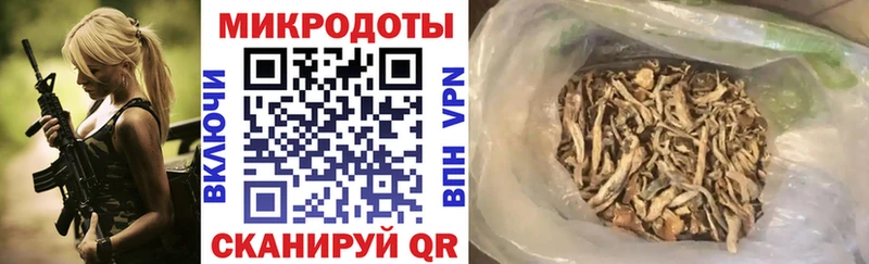 Галлюциногенные грибы мицелий  Зуевка 